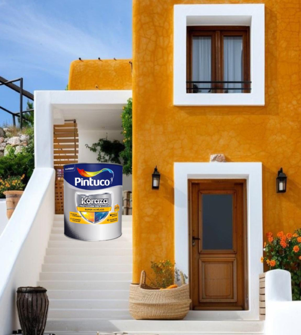 Pintura Koraza casa Exterior